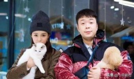 娱乐圈7大瓜最新爆料,揭秘明星幕后真相，揭秘娱乐圈风云变幻！